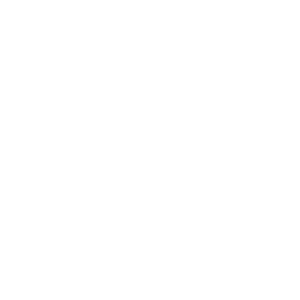 Guinness World Record