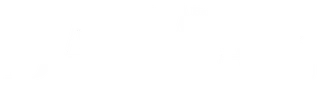 partner logo 13