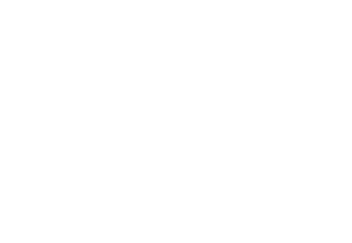 partner logo 9